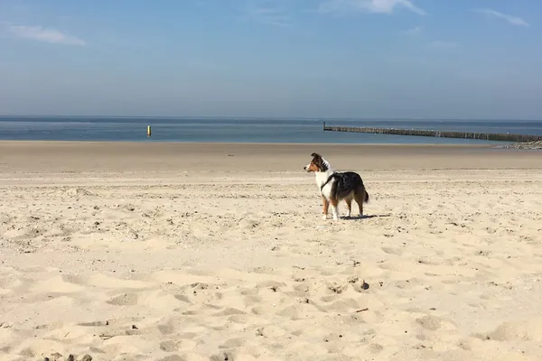 Kust bij Westkapelle